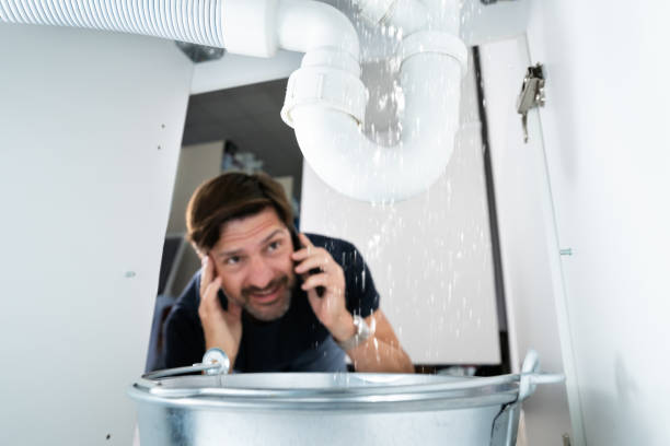 Best Water Leak Repair  in Rockwood, MI