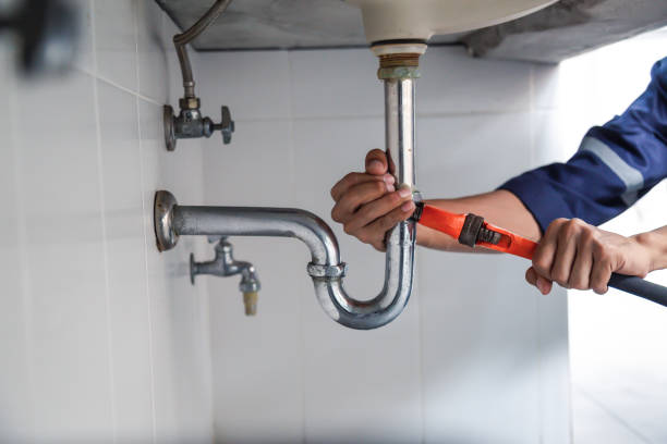 Best Plumbing Services Near Me  in Rockwood, MI