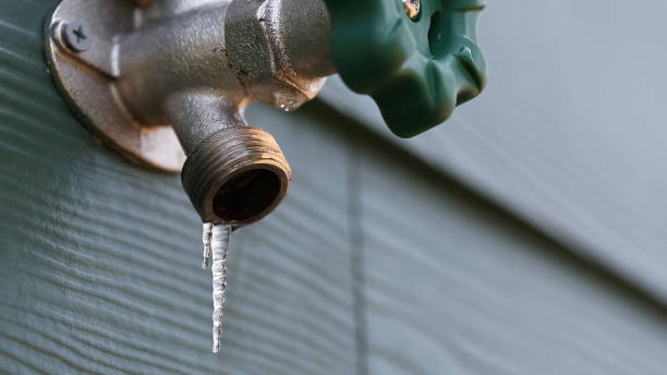Best Emergency Plumbing Repair  in Rockwood, MI
